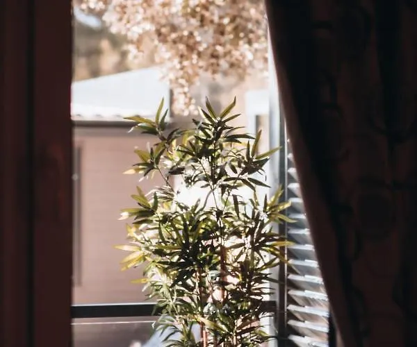 Mobile Kailani Nr 121, Porton Biondi